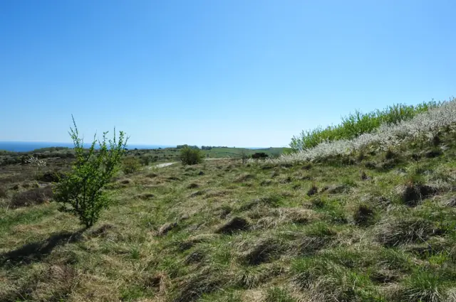 Viking reenactors on the Djursland coast