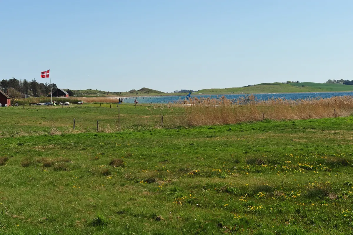 The Viking Tour